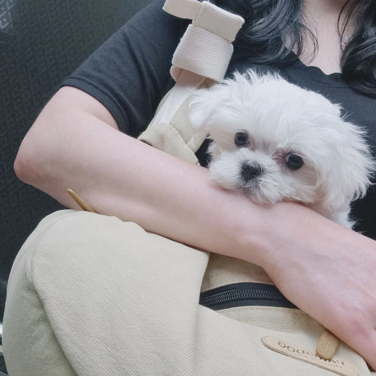 리뷰 사진 1