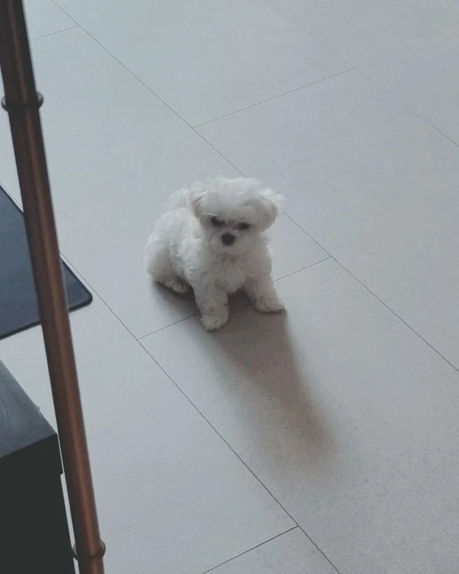 리뷰 사진 2