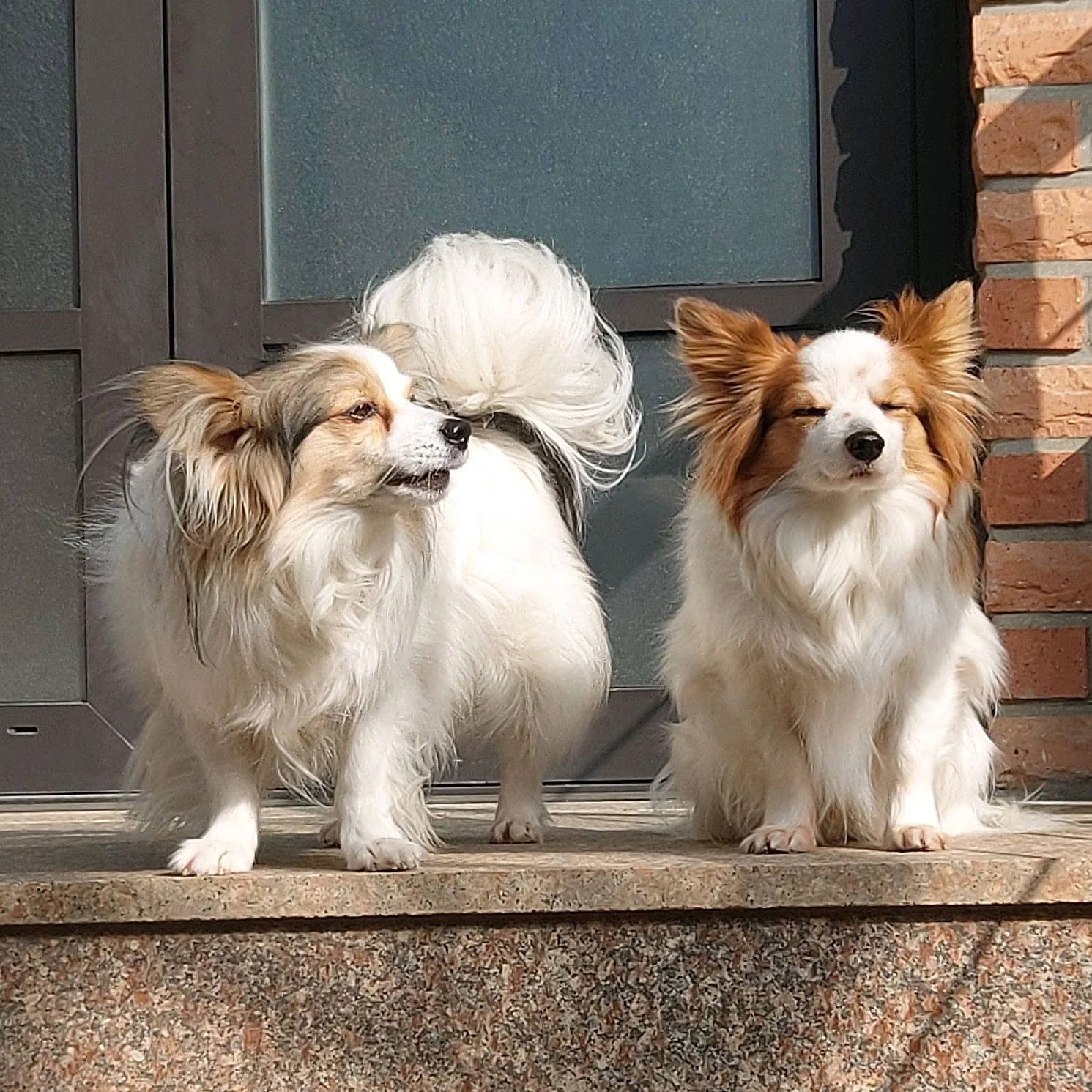 리뷰 사진 1