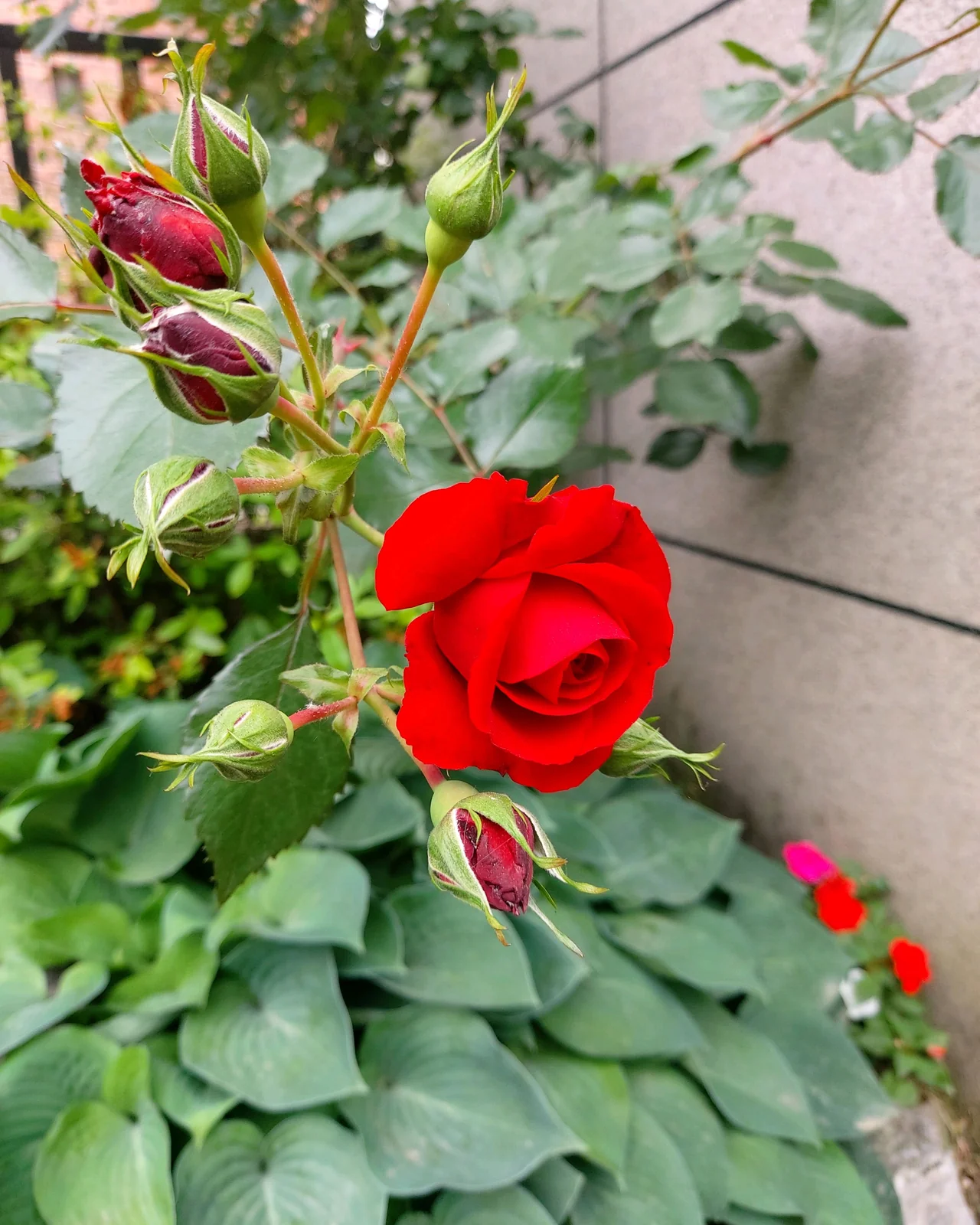 리뷰 사진 2