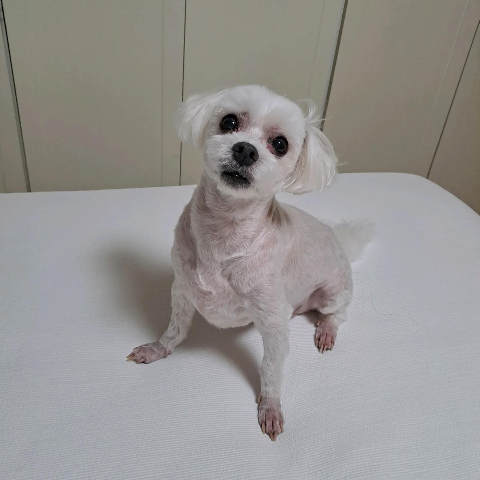 리뷰 사진 1