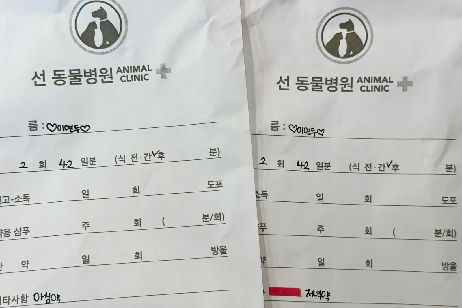 리뷰 사진 1