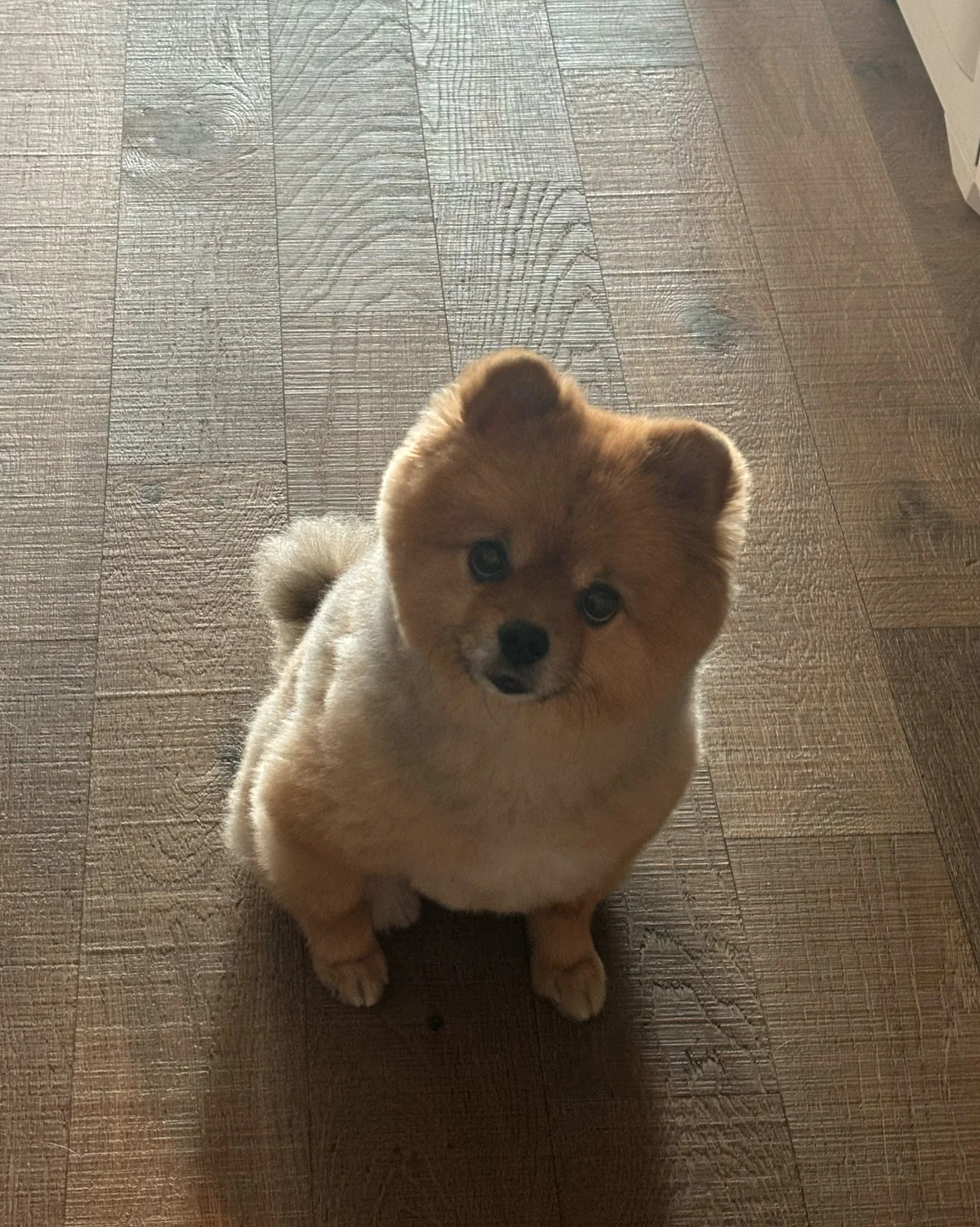리뷰 사진 1