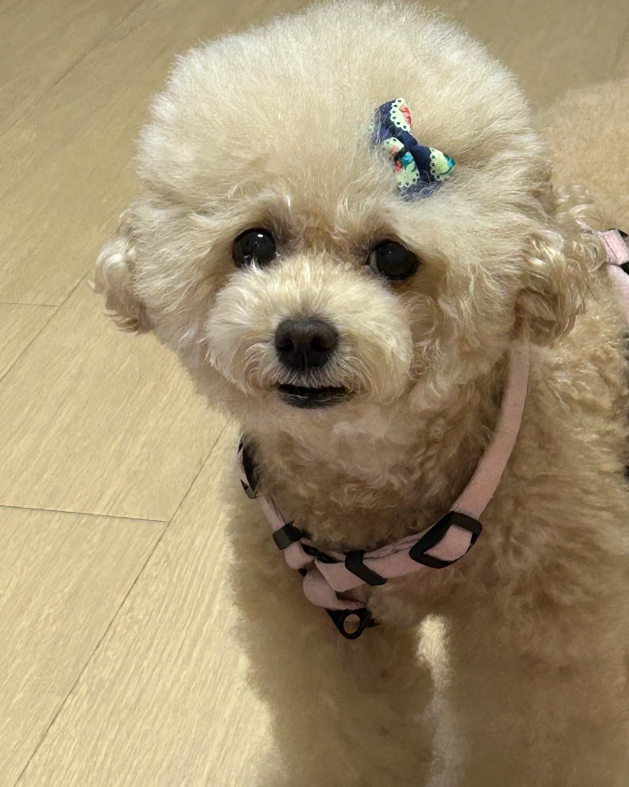 리뷰 사진 1