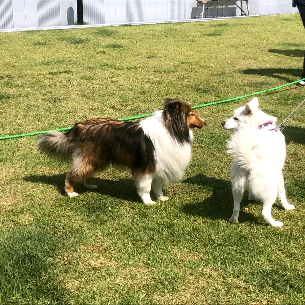 리뷰 사진 2