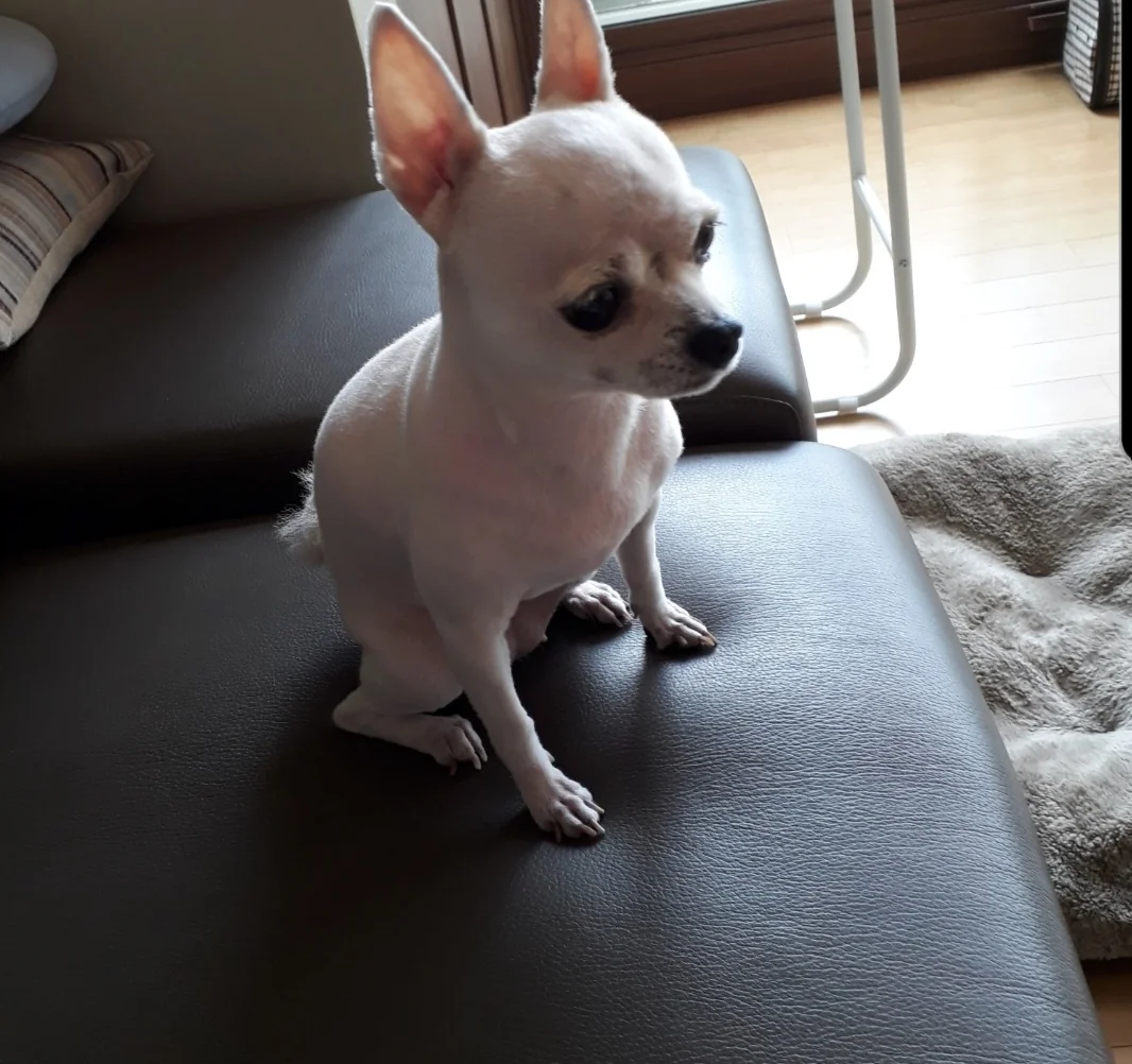 리뷰 사진 1