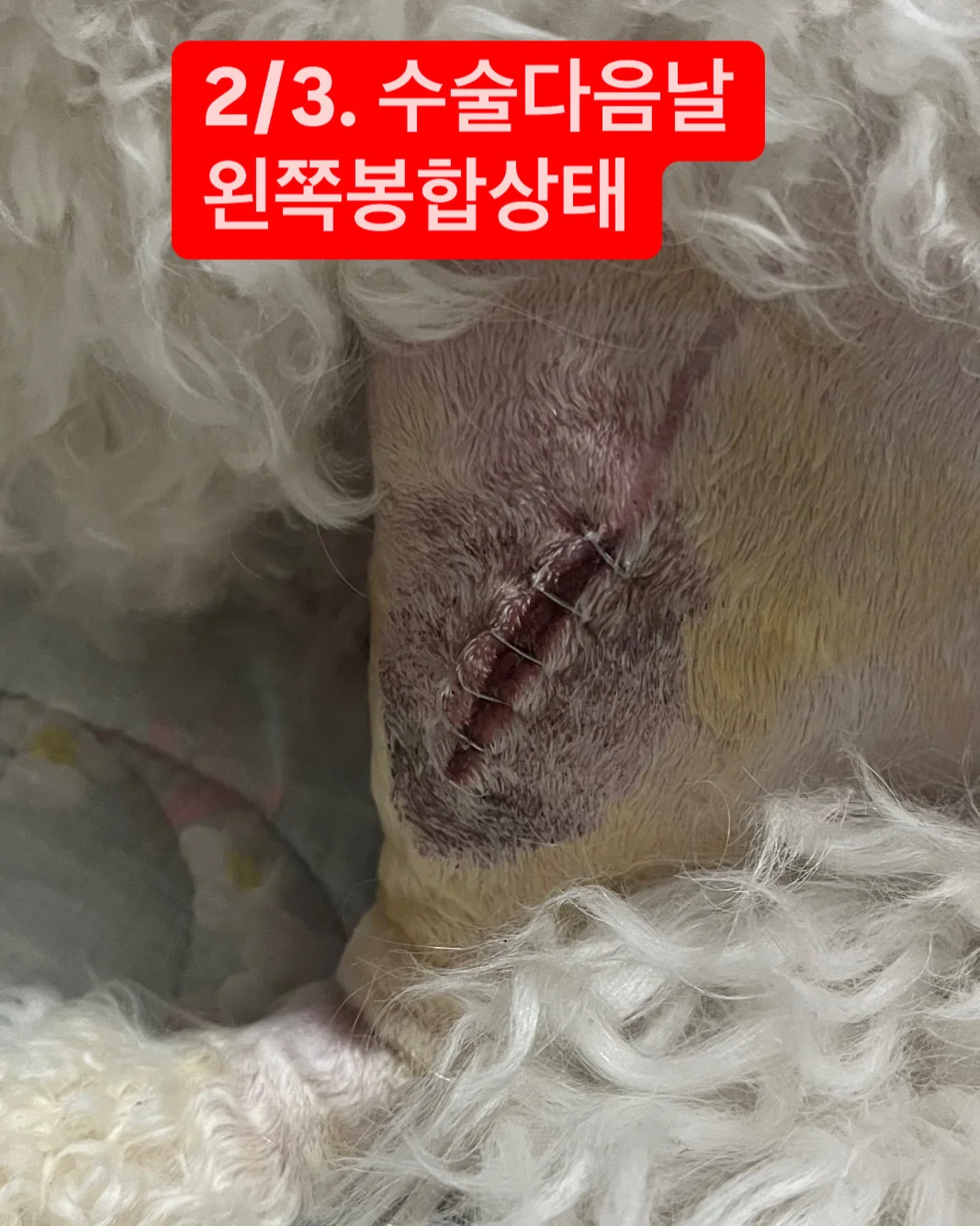 리뷰 사진 3