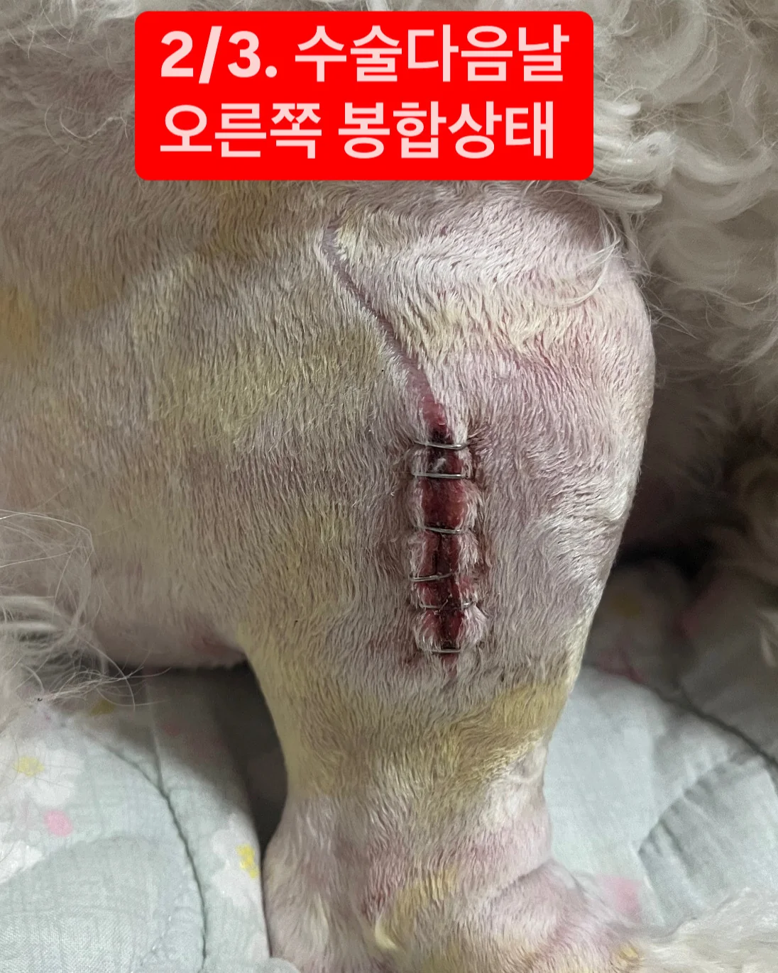 리뷰 사진 4
