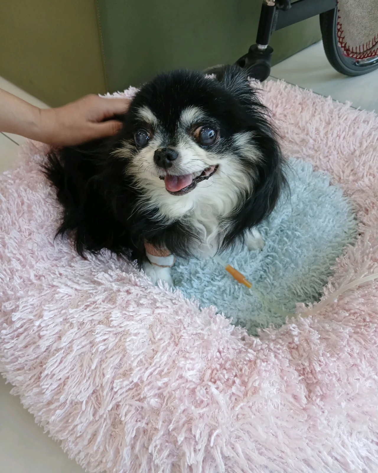 리뷰 사진 2