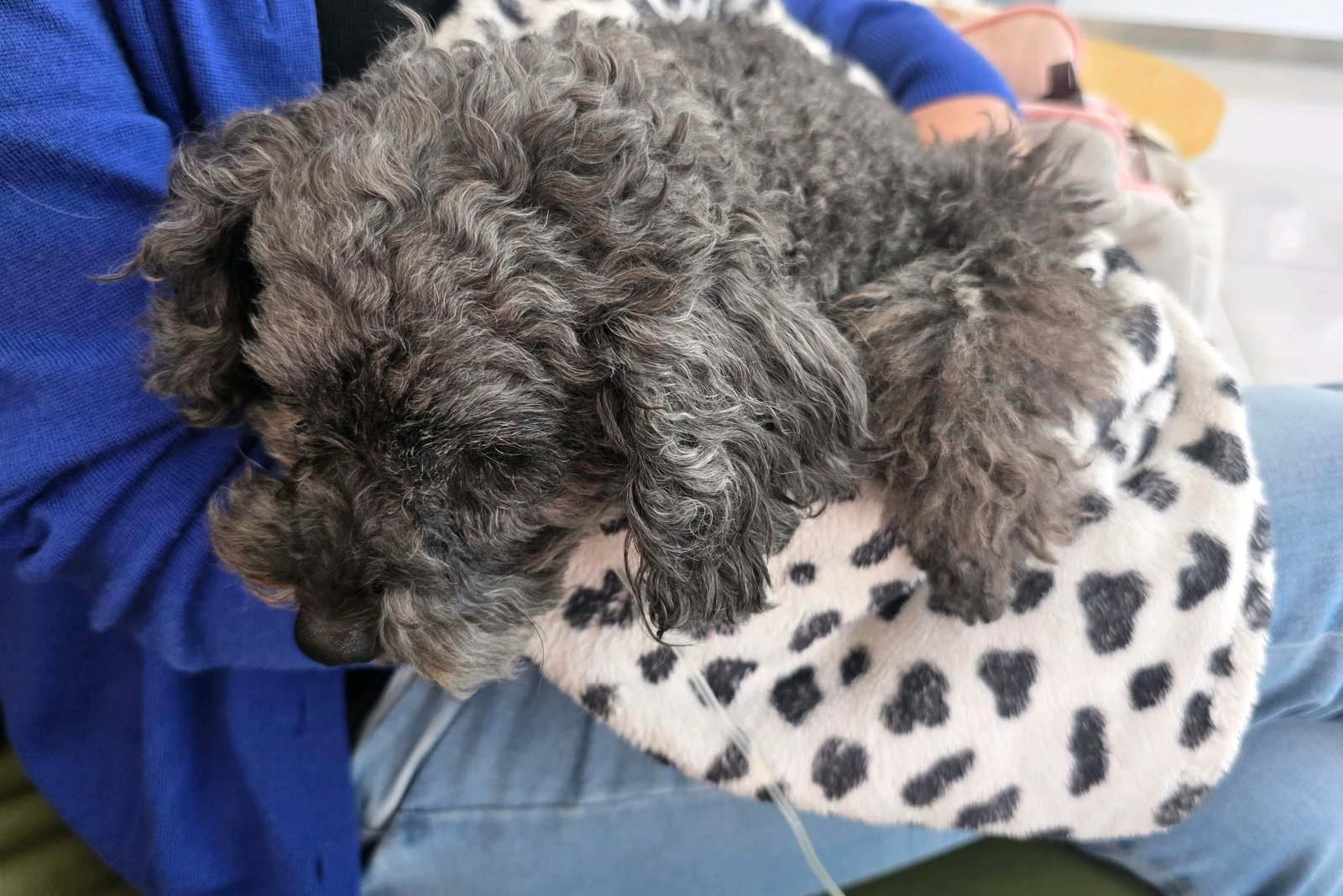 리뷰 사진 2