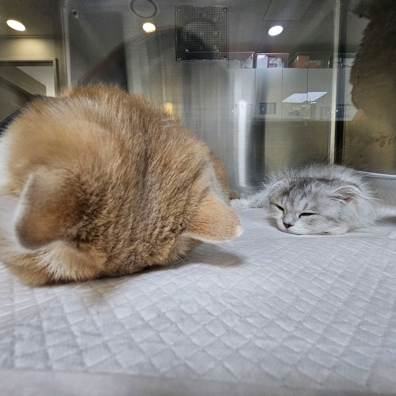 리뷰 사진 1