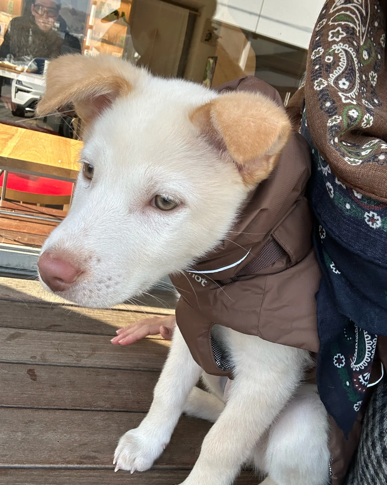 리뷰 사진 1