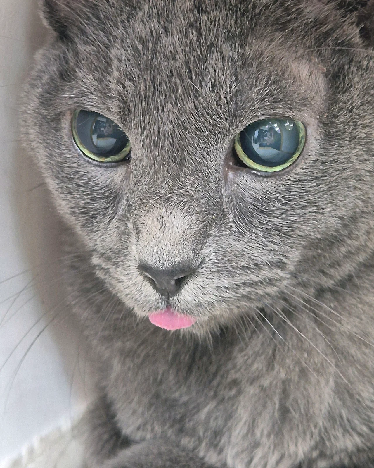 리뷰 사진 1