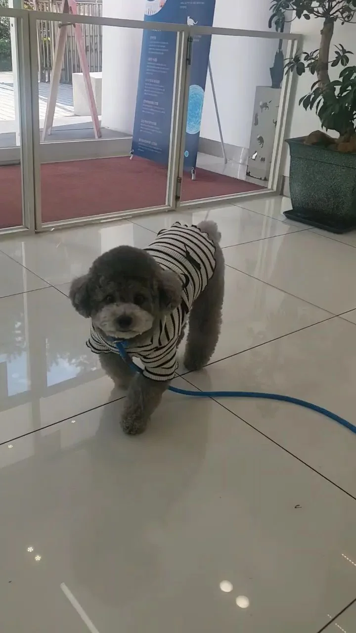 리뷰 사진 1