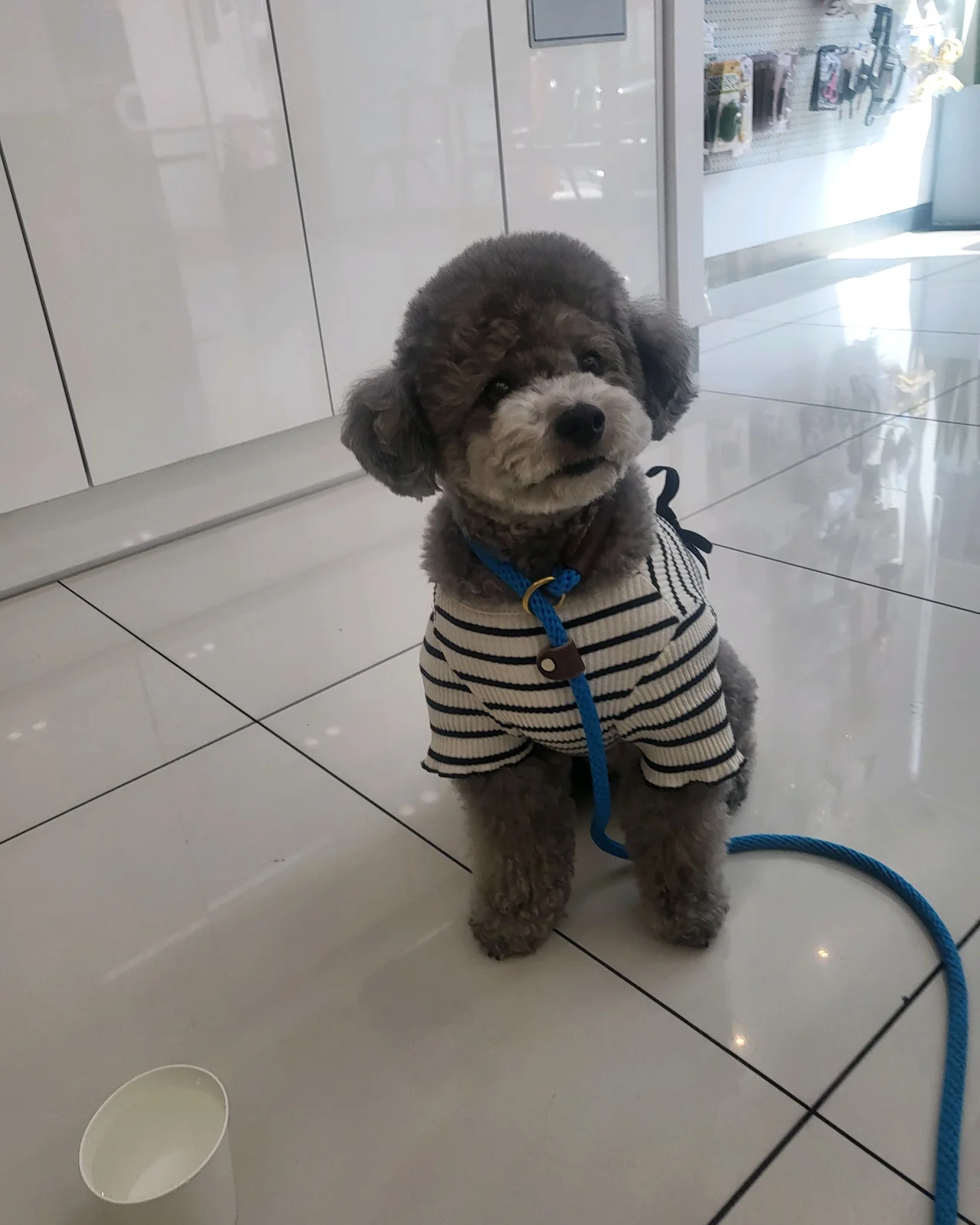리뷰 사진 4