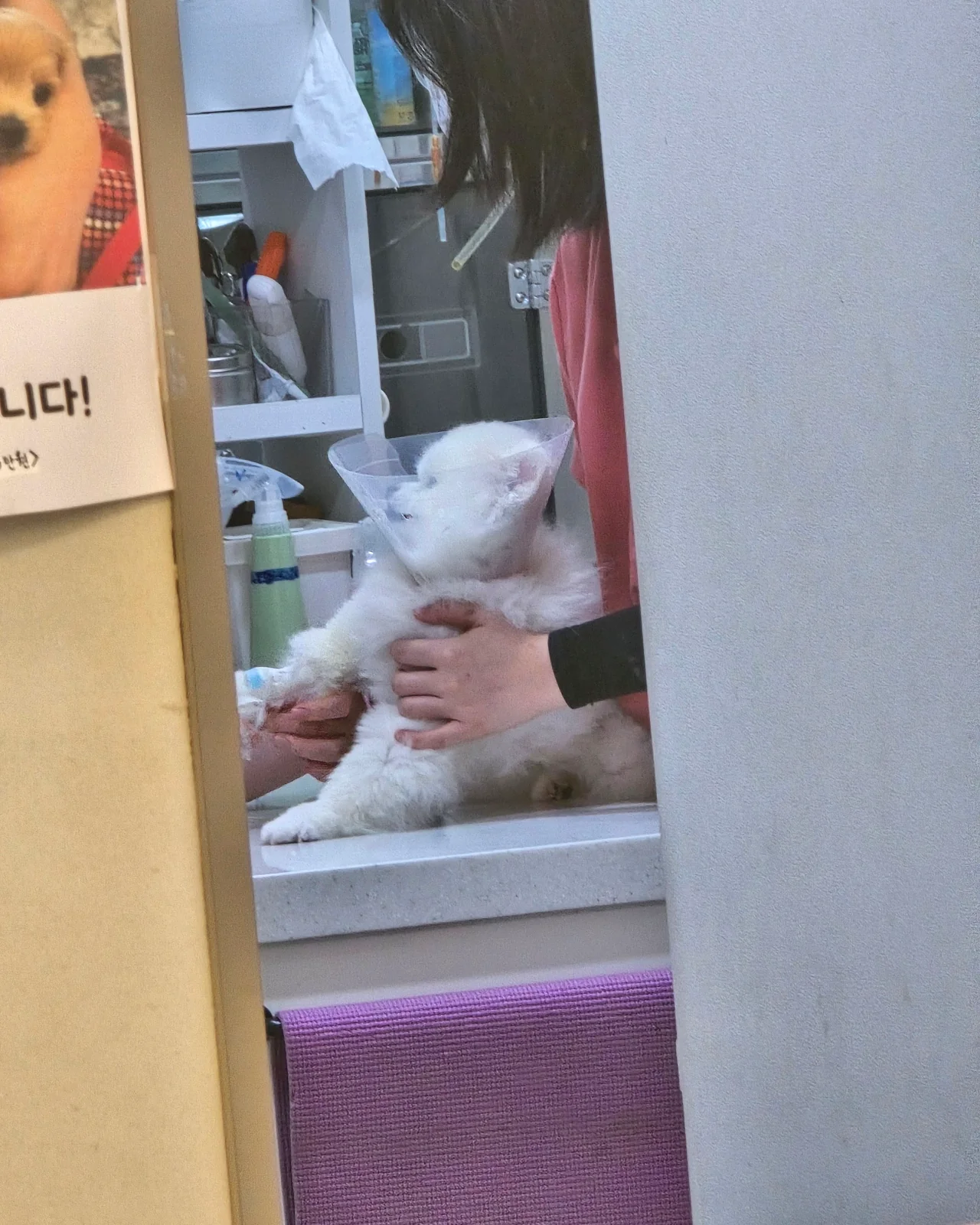 리뷰 사진 3