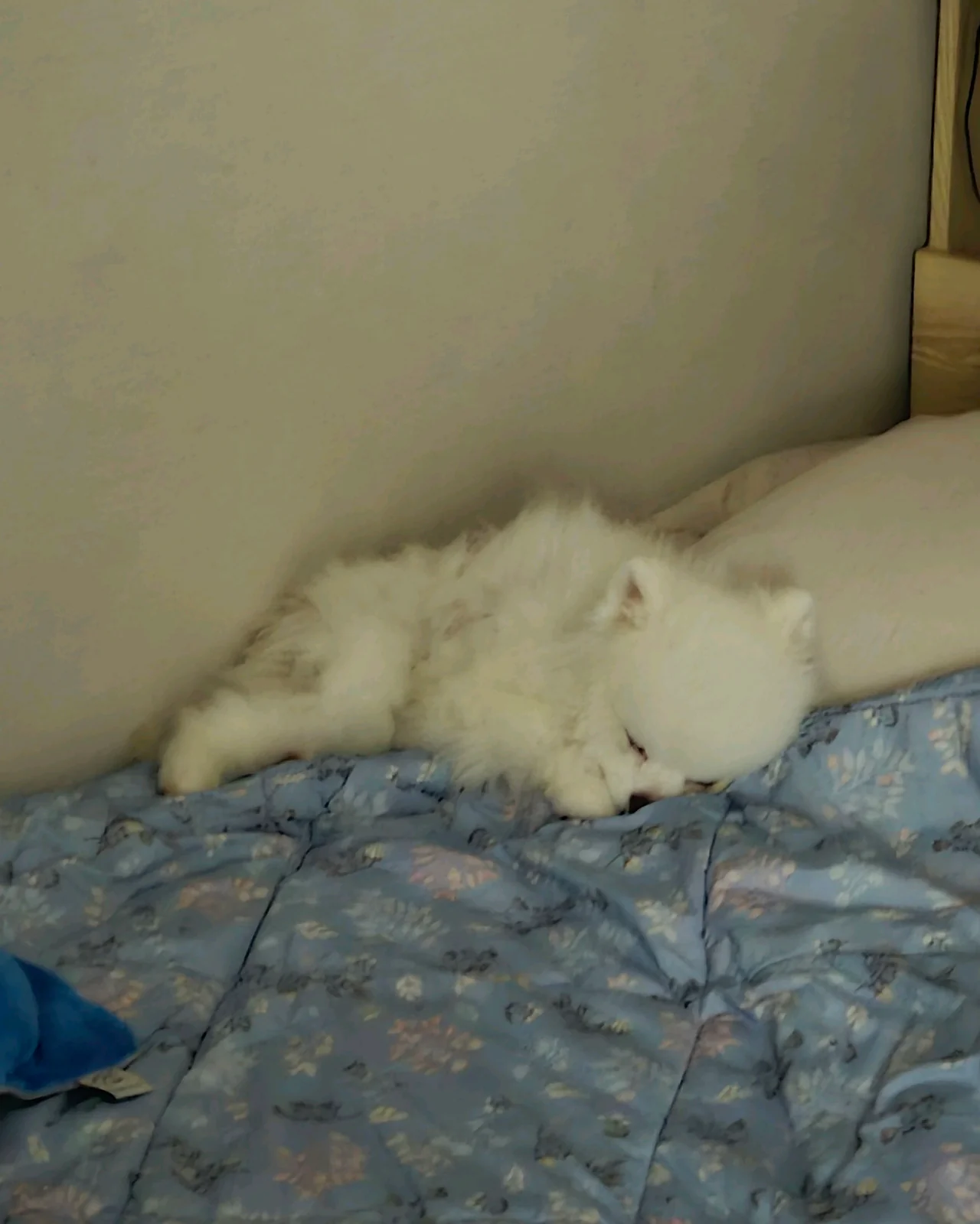 리뷰 사진 4
