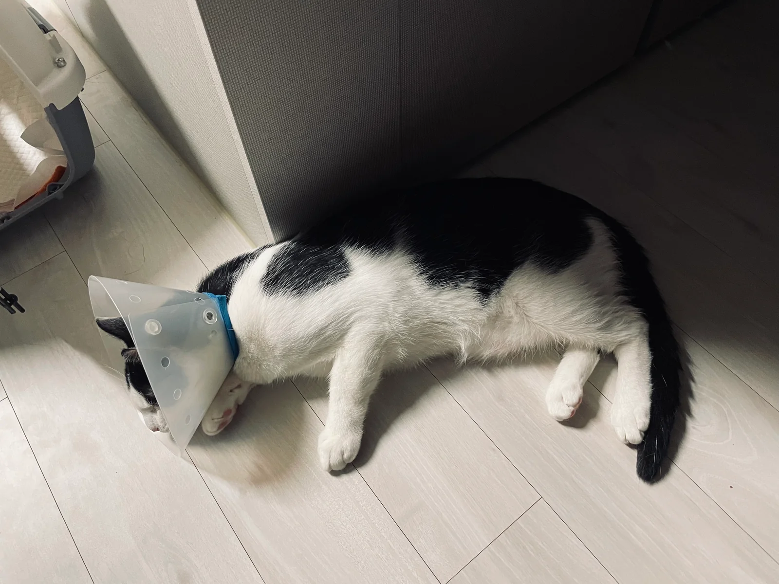 리뷰 사진 1