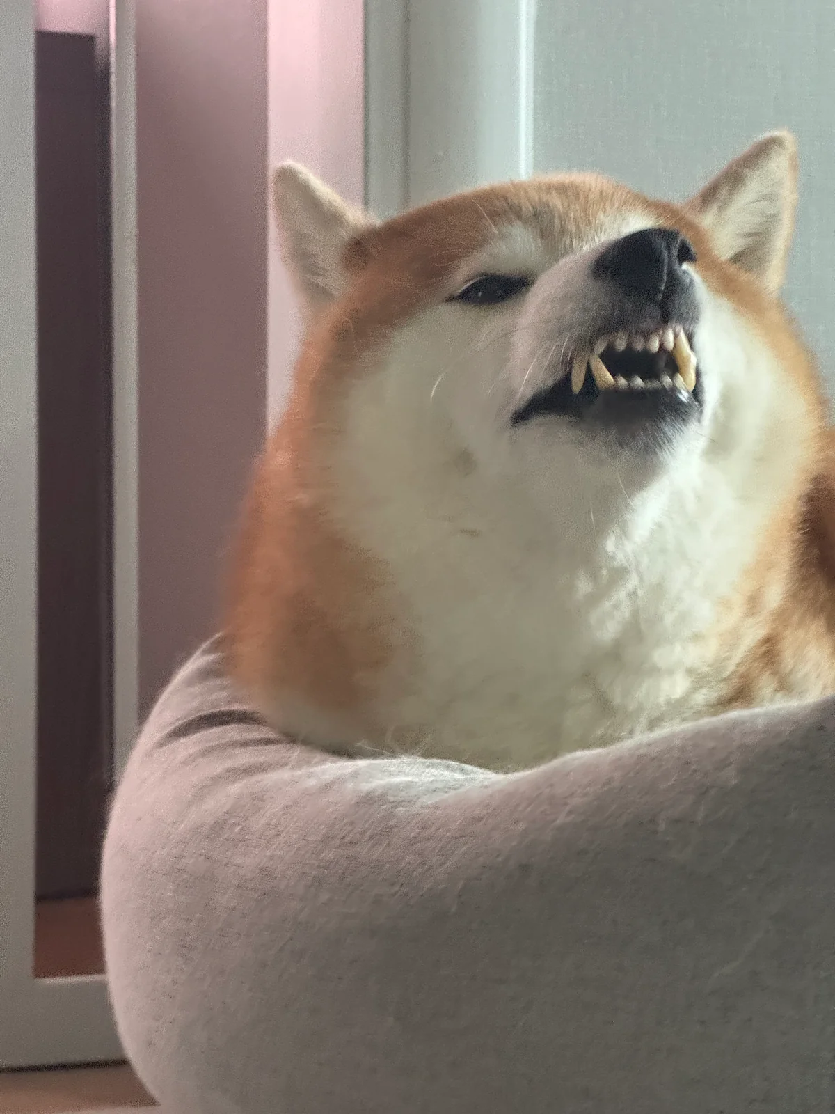 리뷰 사진 1