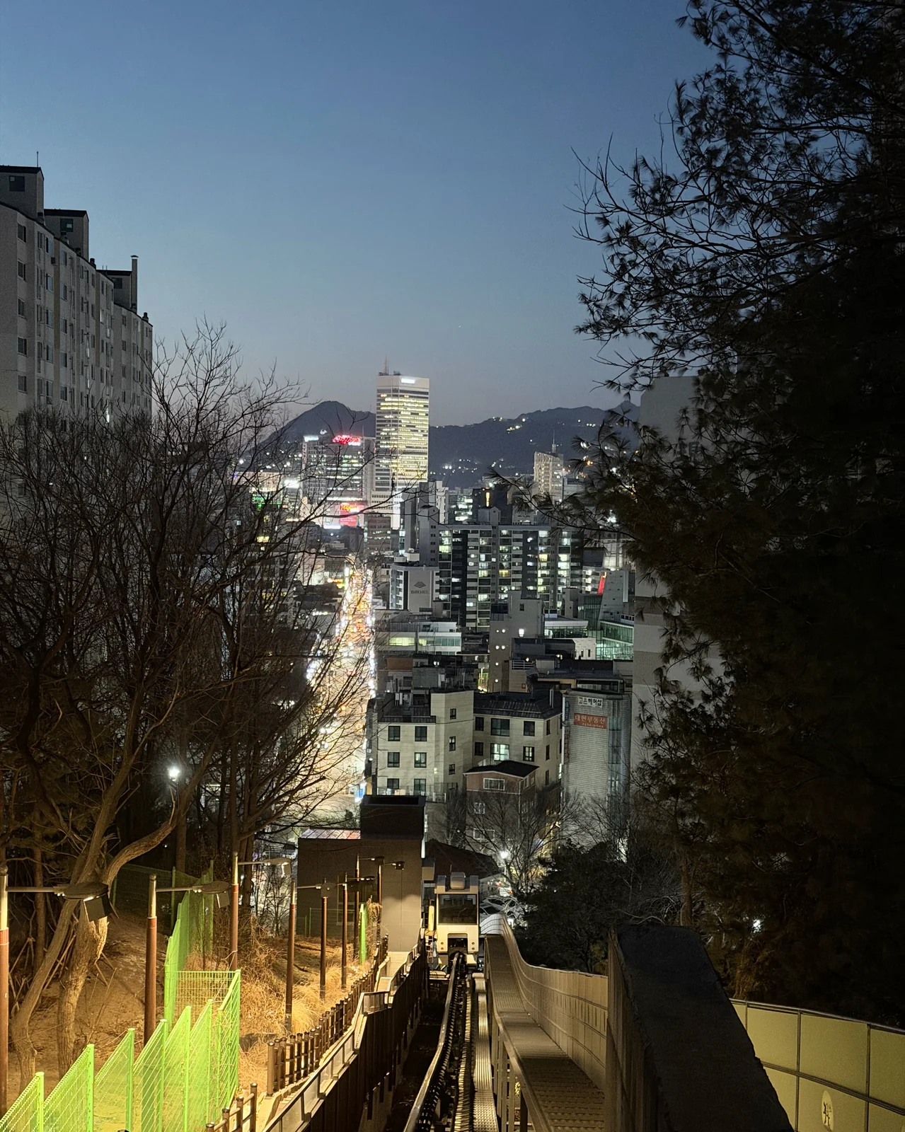 리뷰 사진 1