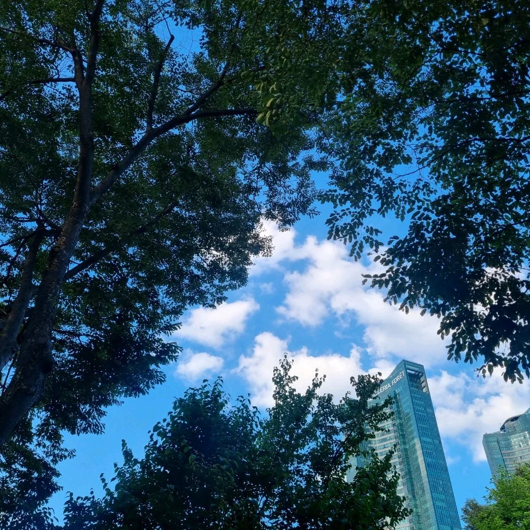 리뷰 사진 1