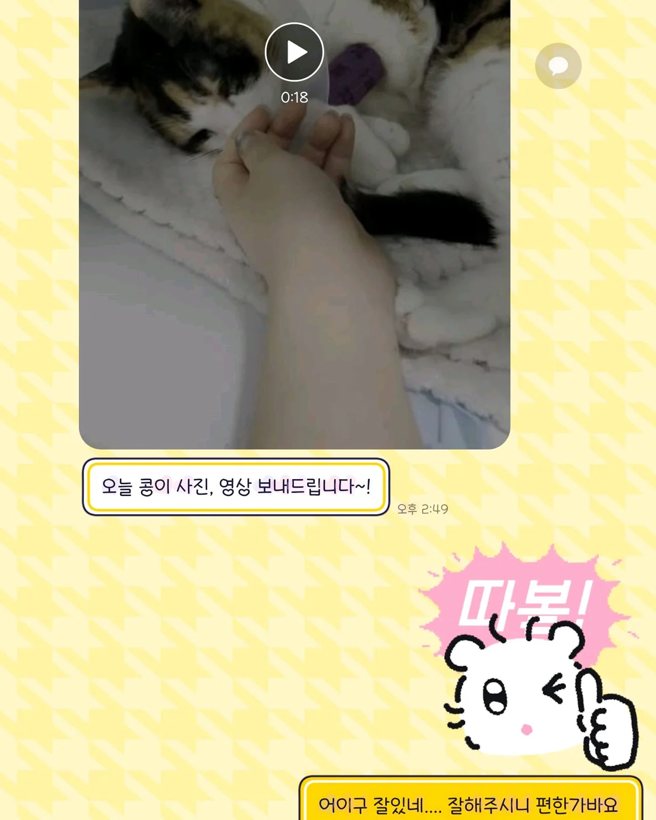 24시 시유동물메디컬센터 사진 2