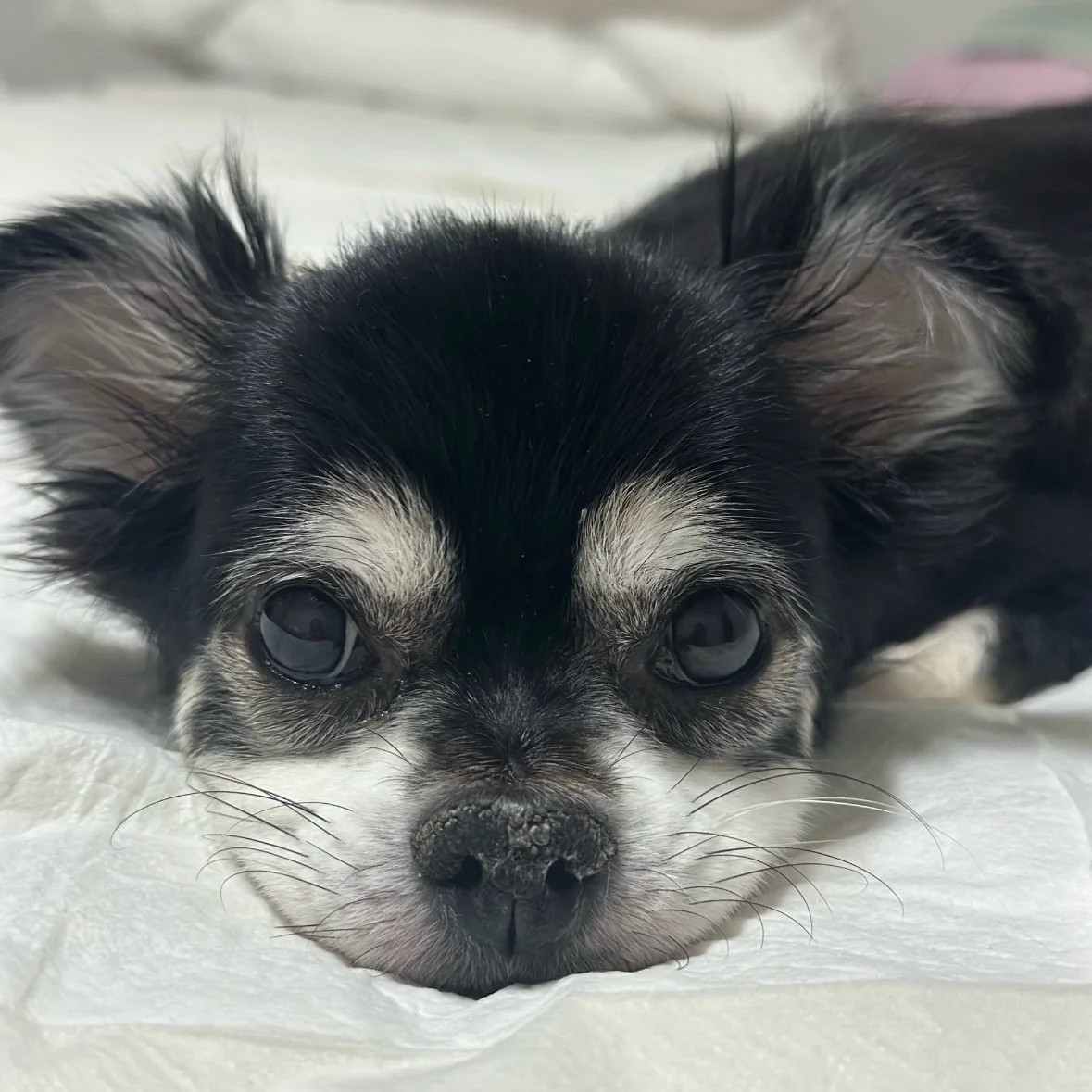 리뷰 사진 1