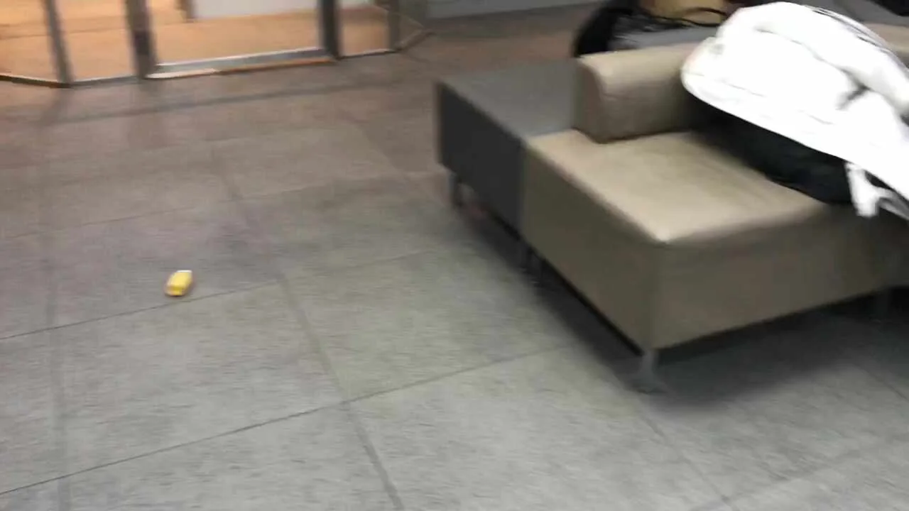 리뷰 사진 2