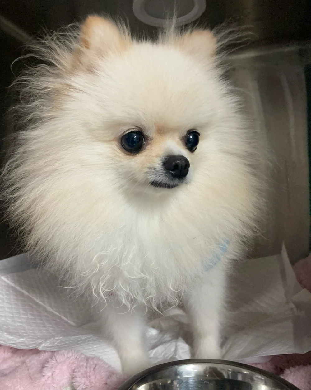 리뷰 사진 3