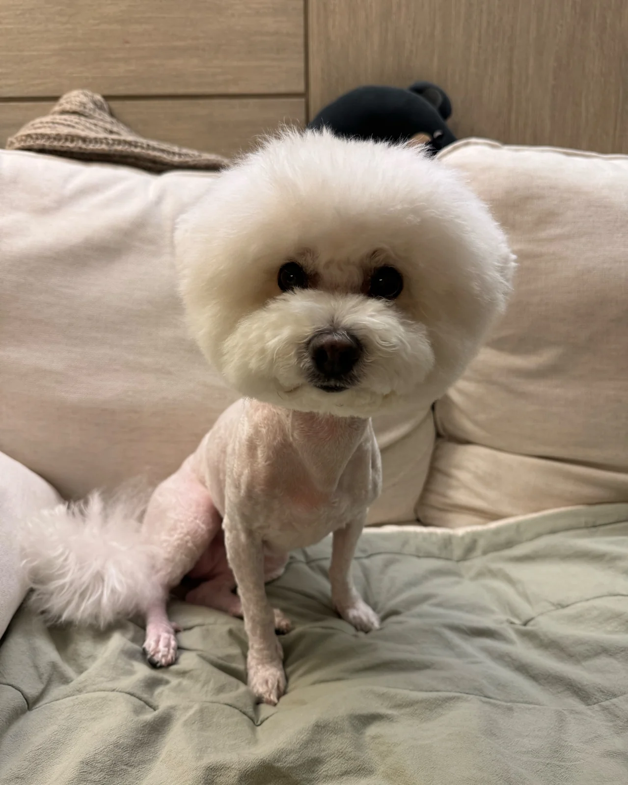 원스동물병원 사진 2