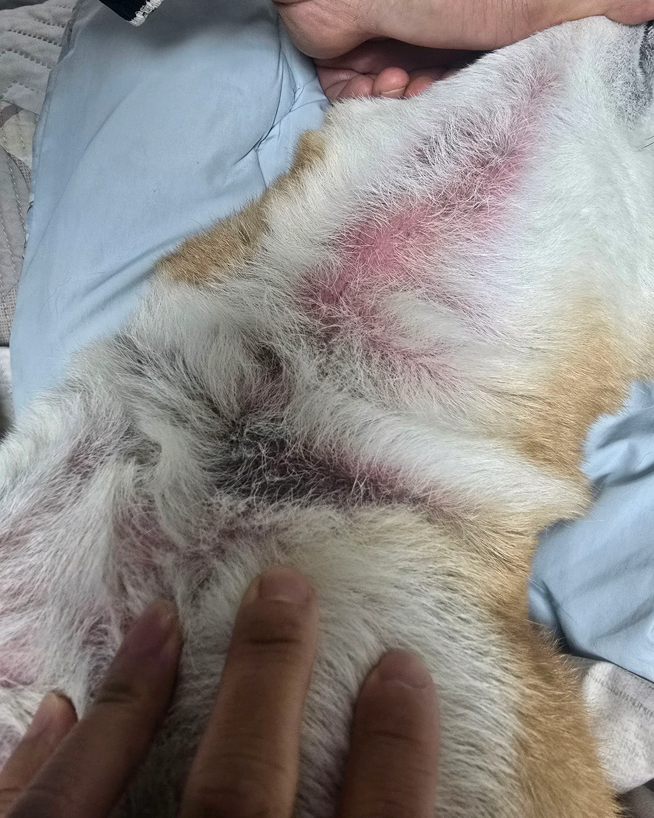 리뷰 사진 1