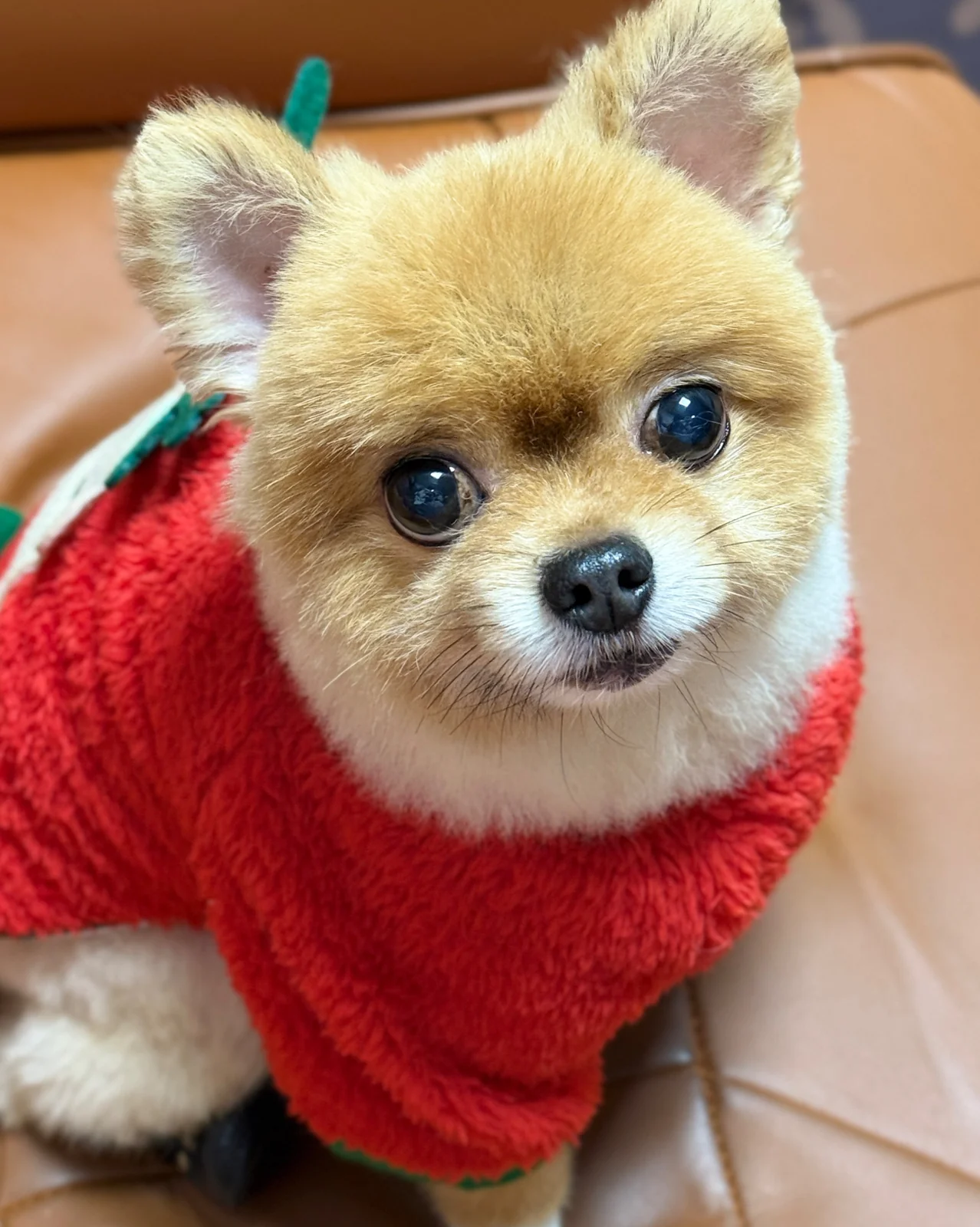 리뷰 사진 1