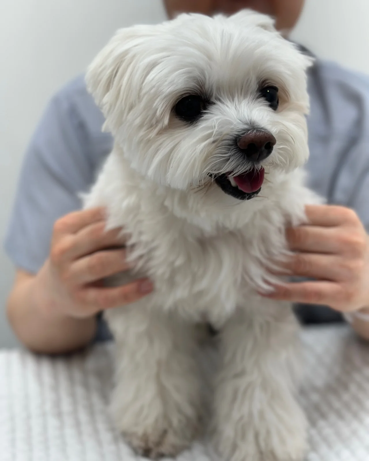 리뷰 사진 1