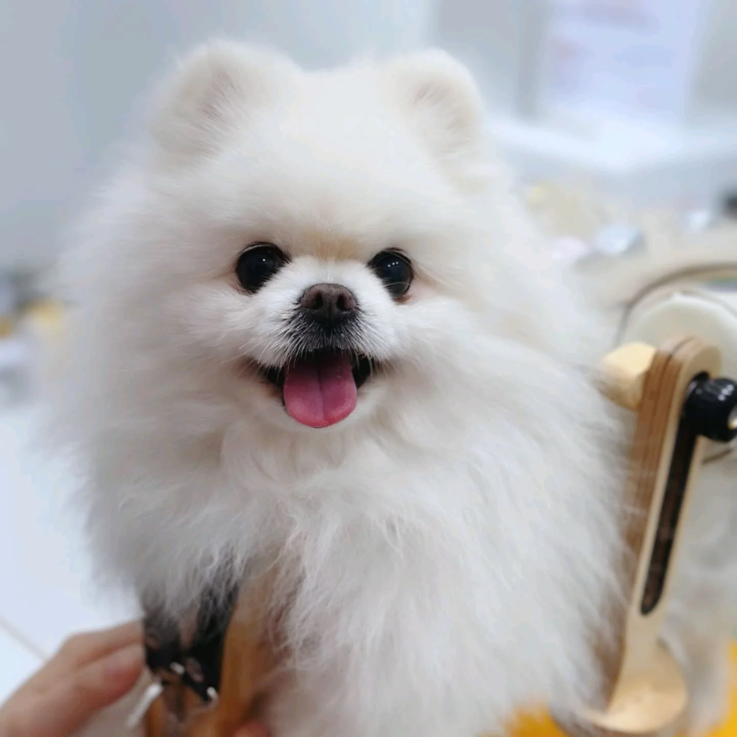 리뷰 사진 1