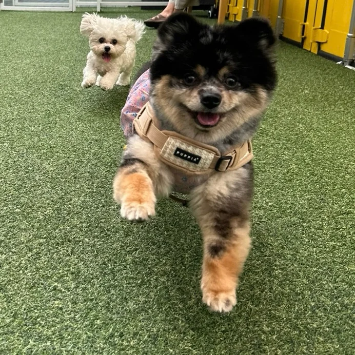 리뷰 사진 2