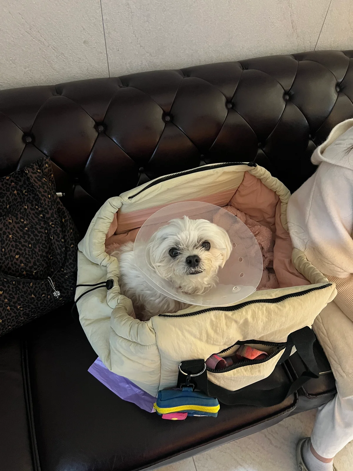 리뷰 사진 2