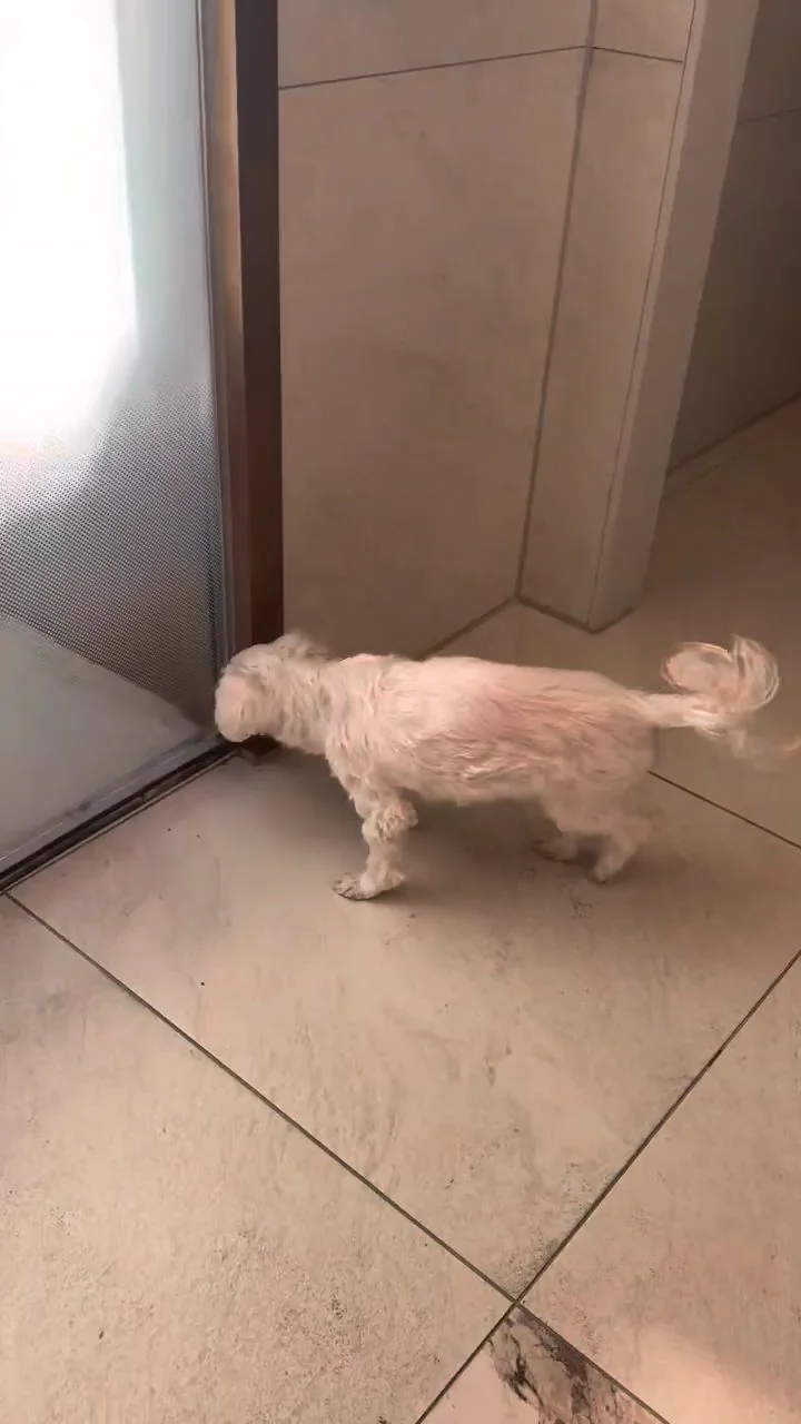 리뷰 사진 3