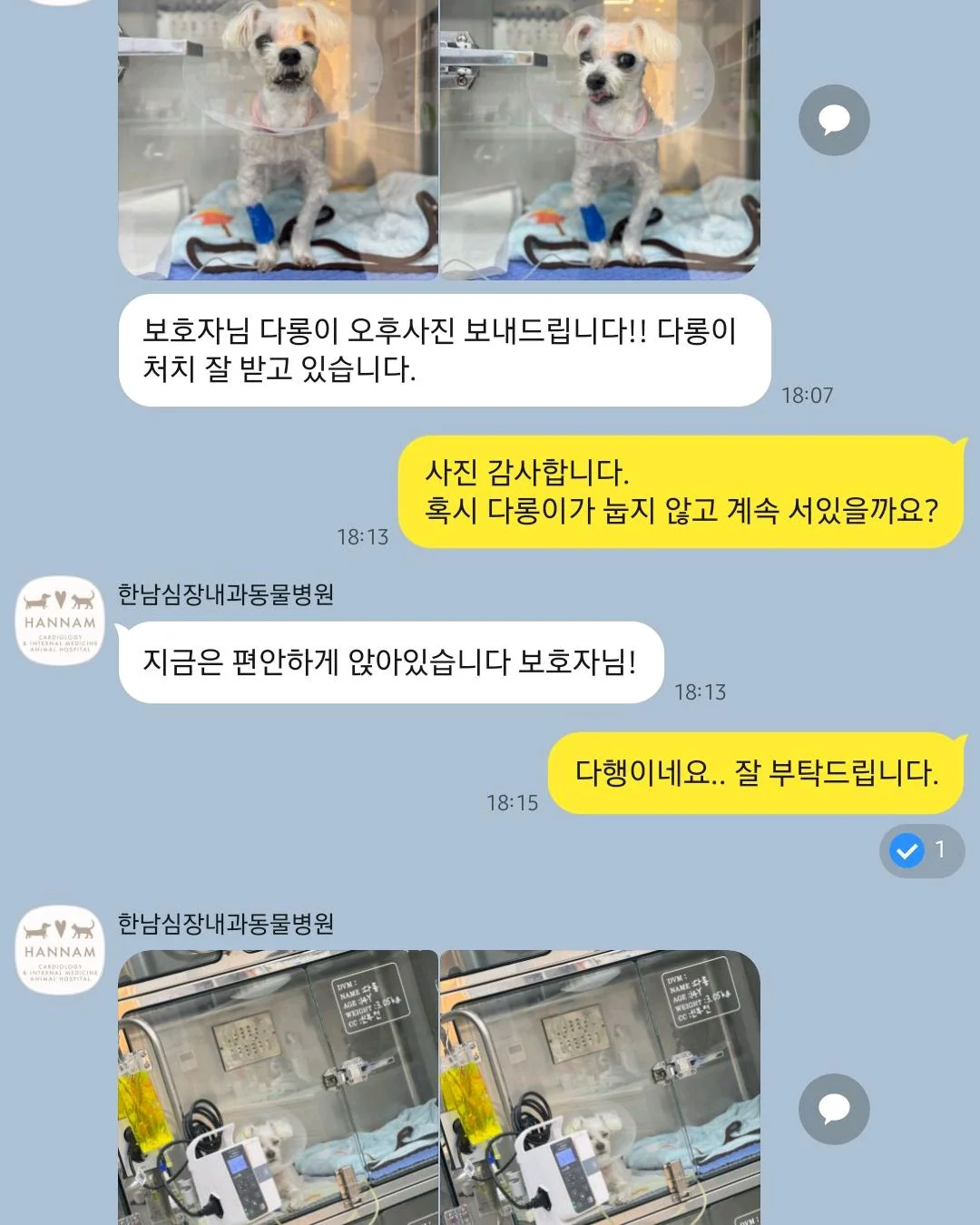 리뷰 사진 3