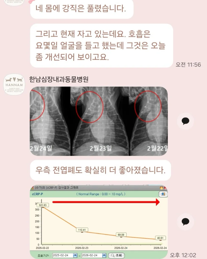 리뷰 사진 1