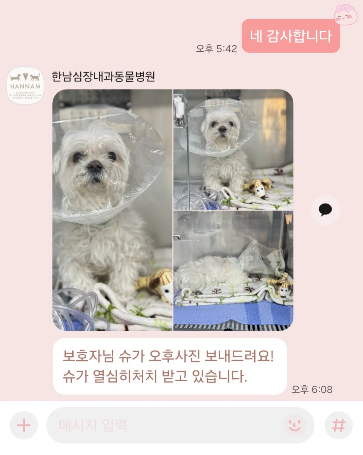 리뷰 사진 2