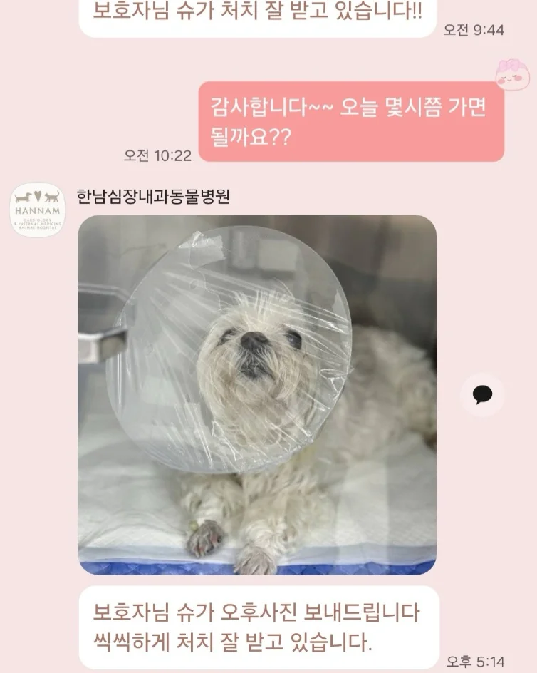 리뷰 사진 3