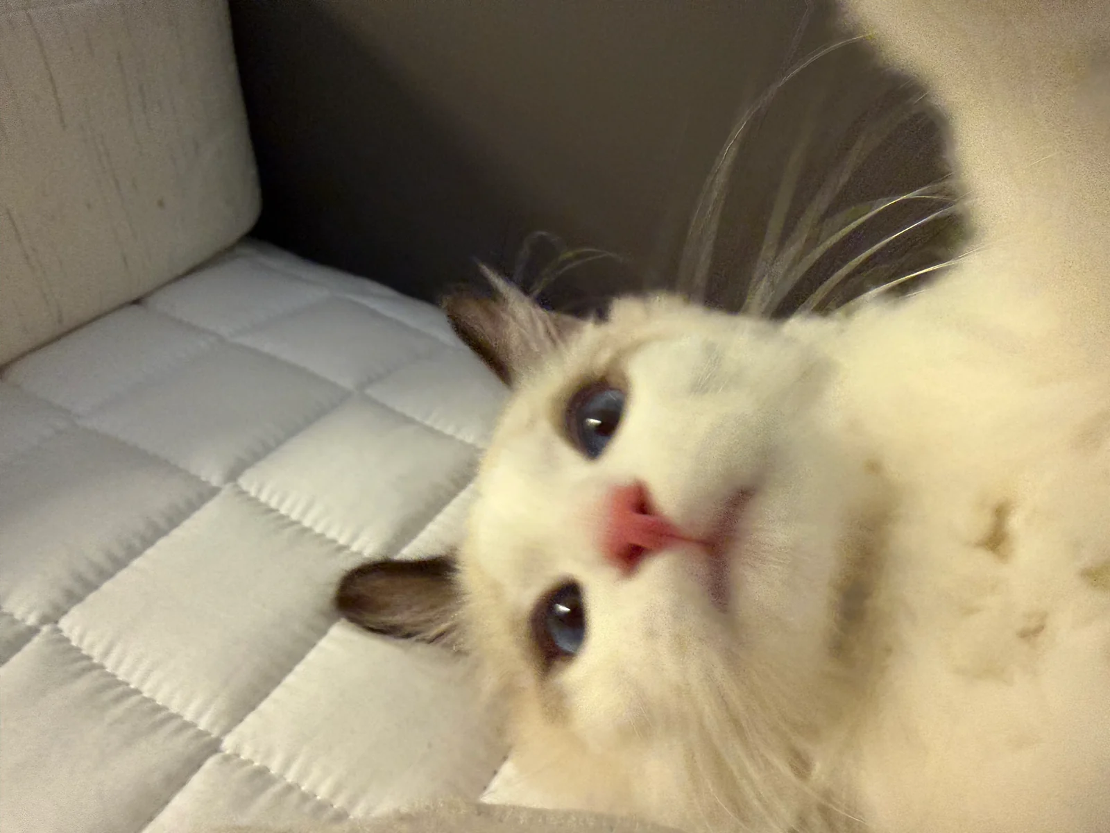 리뷰 사진 1