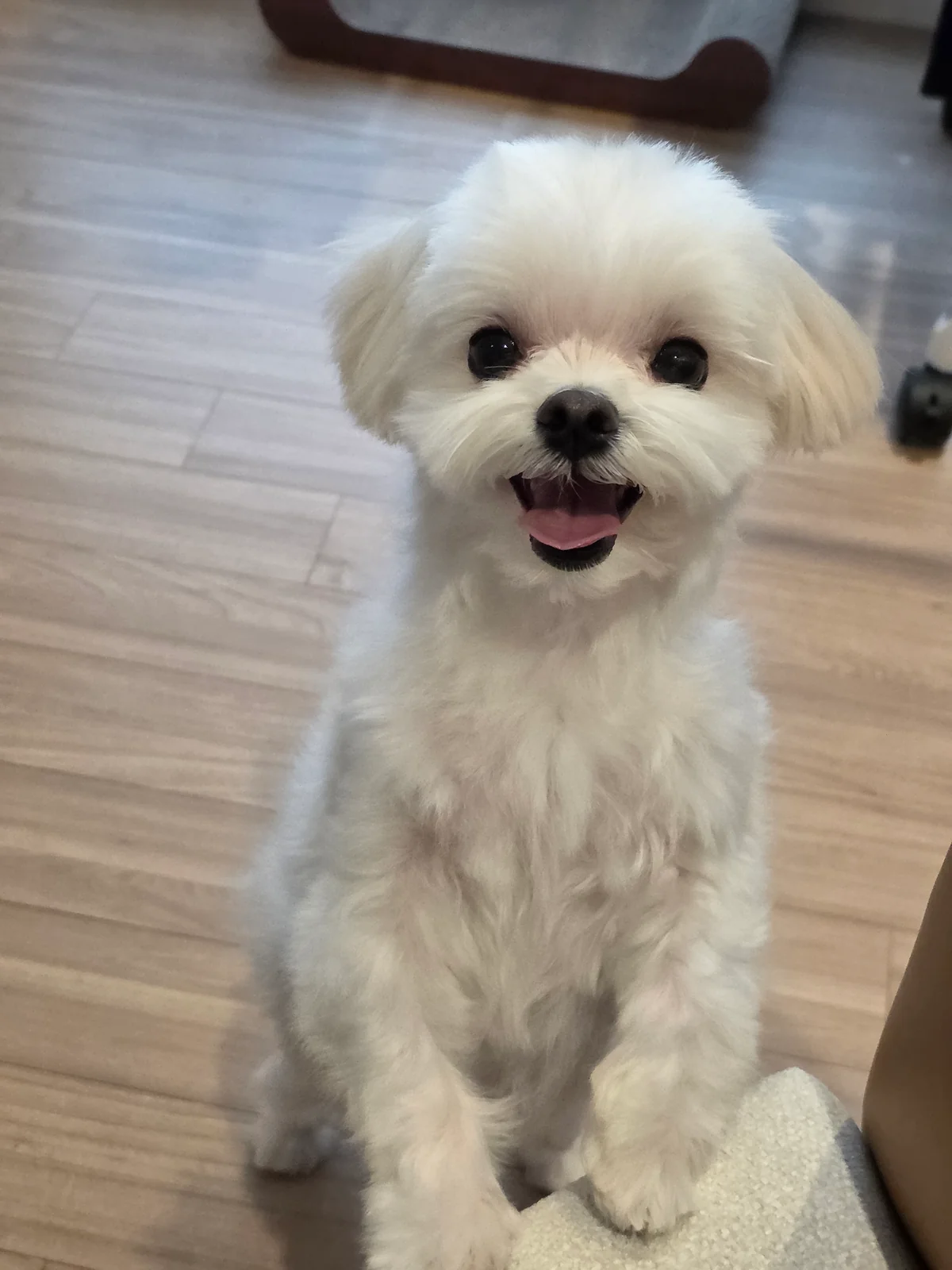 리뷰 사진 2