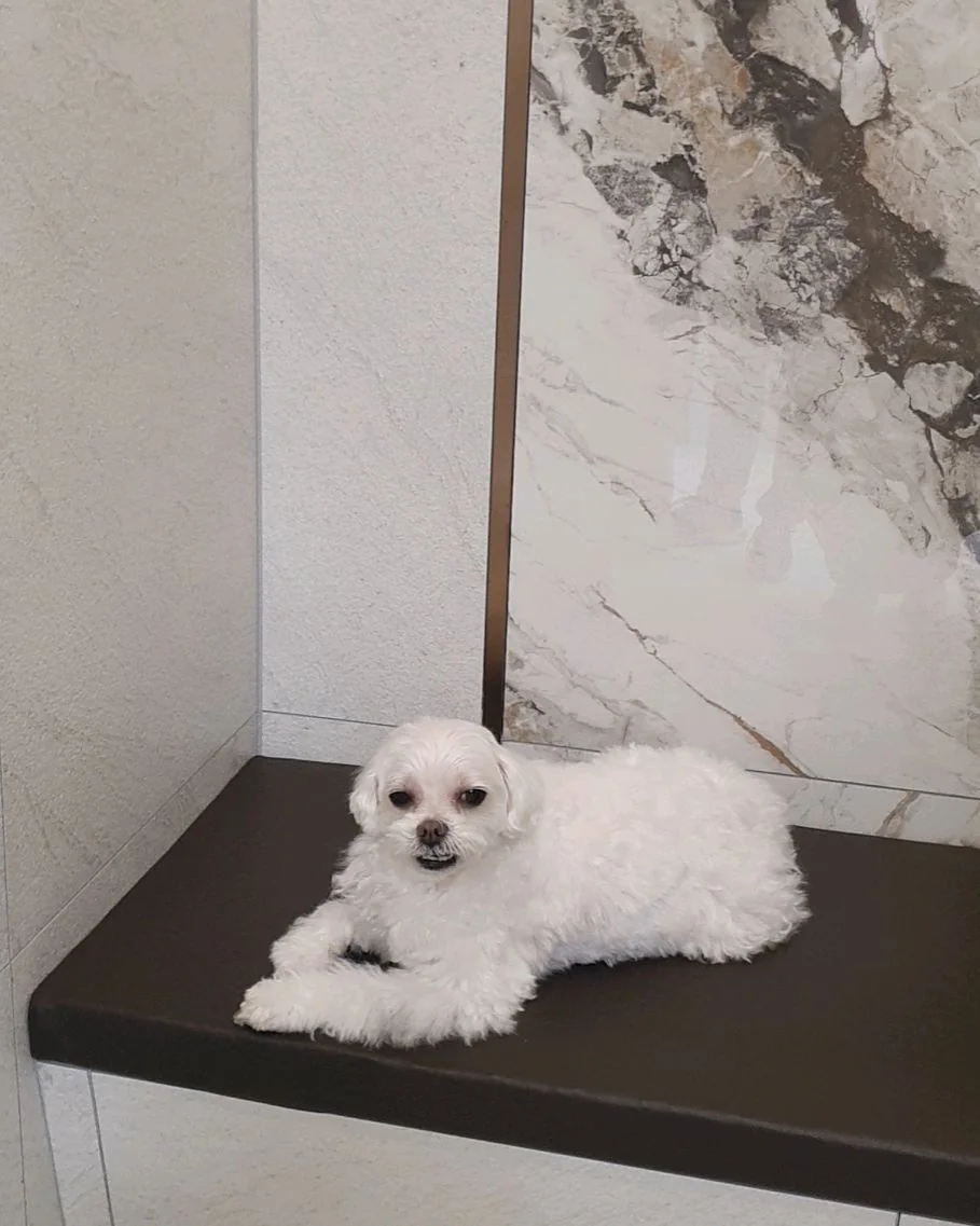 리뷰 사진 1