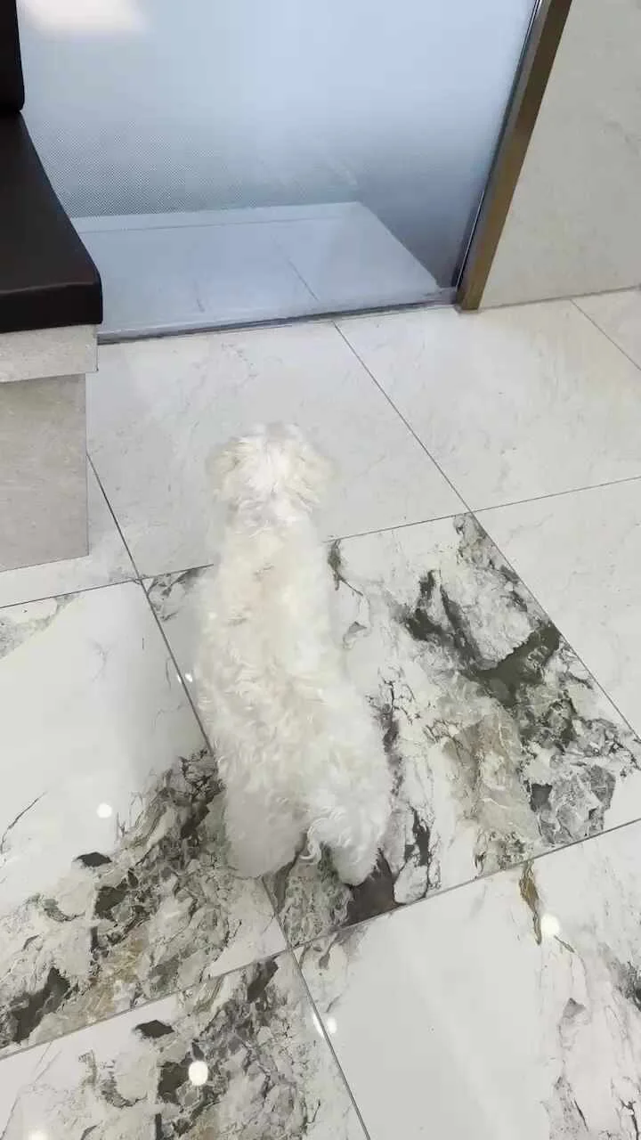 리뷰 사진 4