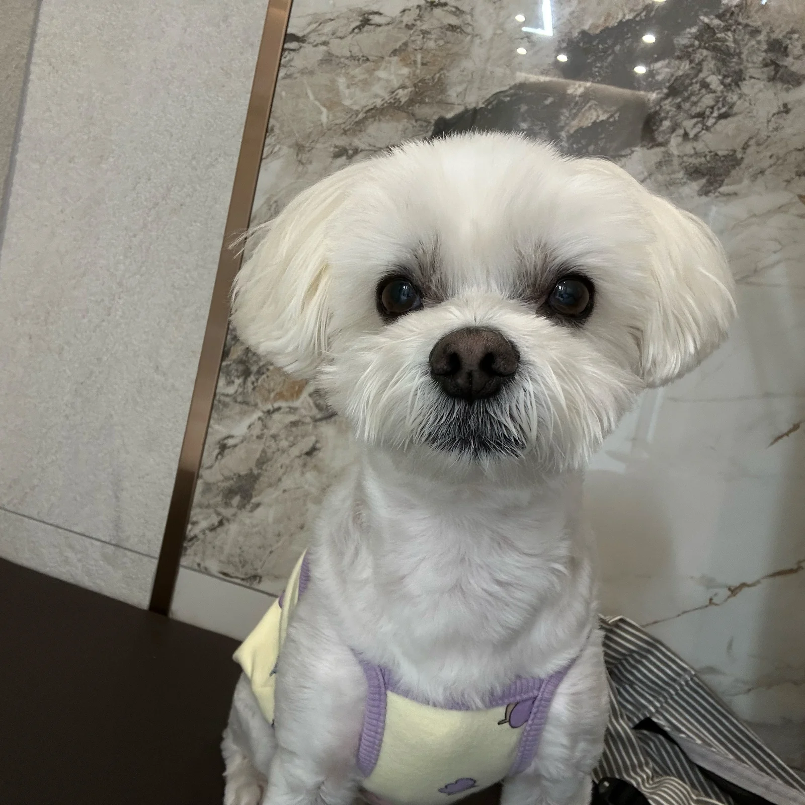 리뷰 사진 1