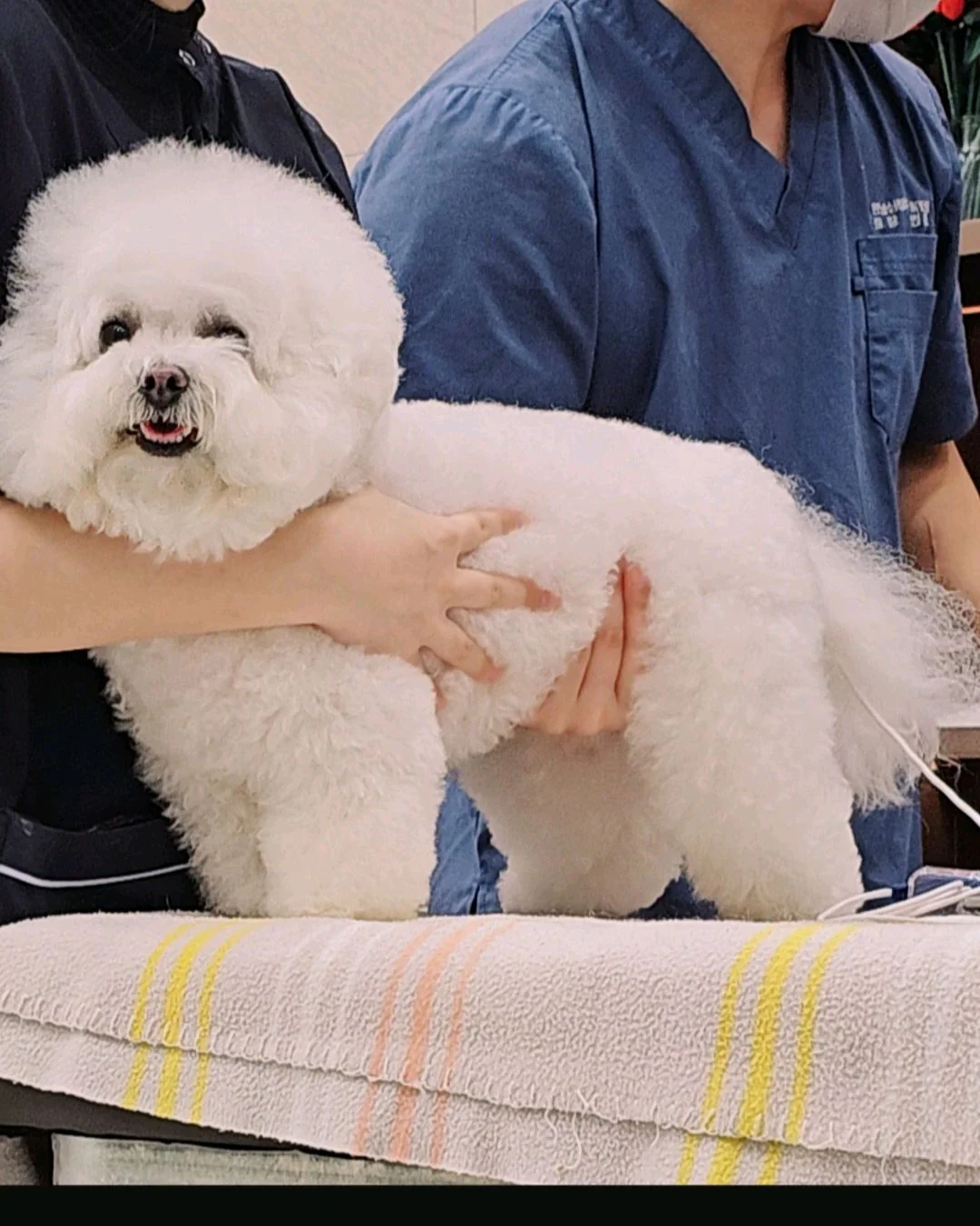 리뷰 사진 1