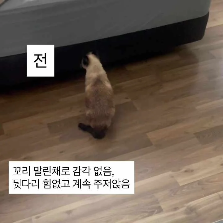 리뷰 사진 2