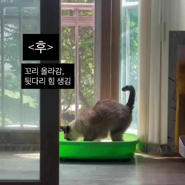 리뷰 사진 3