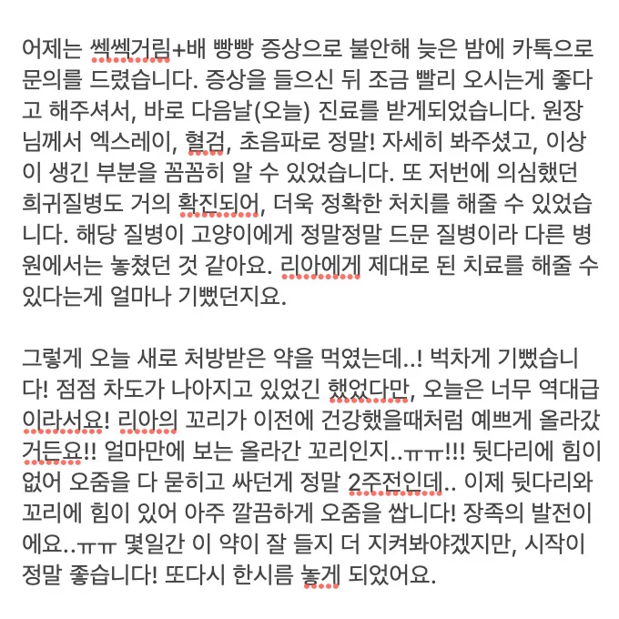 리뷰 사진 4